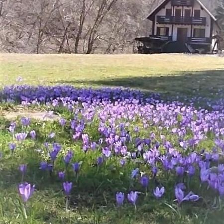 Casa De Vacanta Satic Piatra Craiului La Doi Viermi Esterno foto