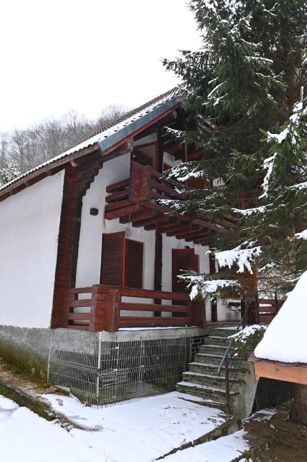 Casa De Vacanta Satic Piatra Craiului La Doi Viermi Esterno foto