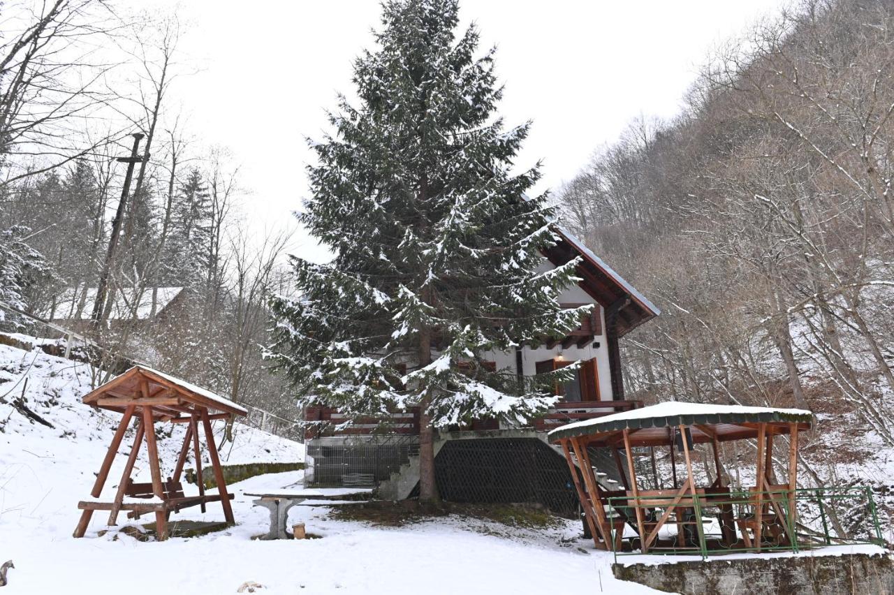 Casa De Vacanta Satic Piatra Craiului La Doi Viermi Esterno foto