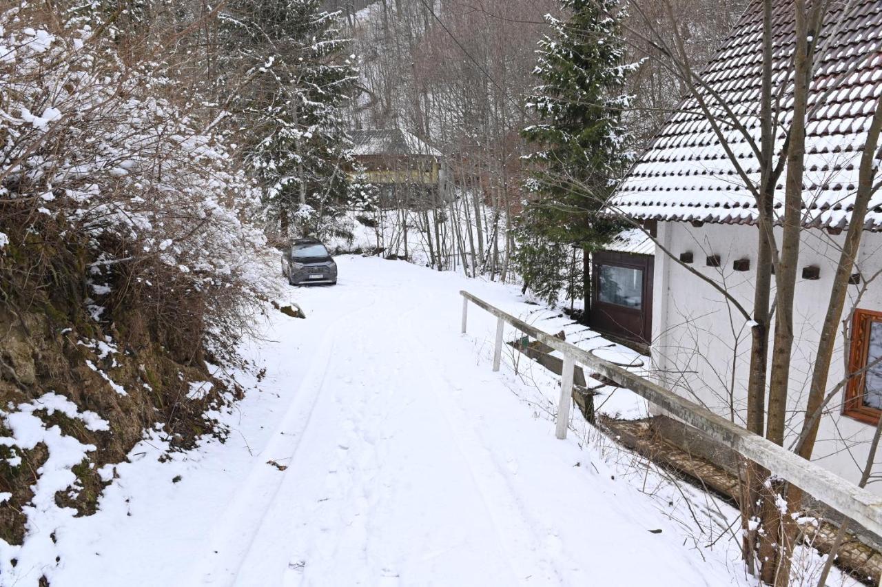 Casa De Vacanta Satic Piatra Craiului La Doi Viermi Esterno foto