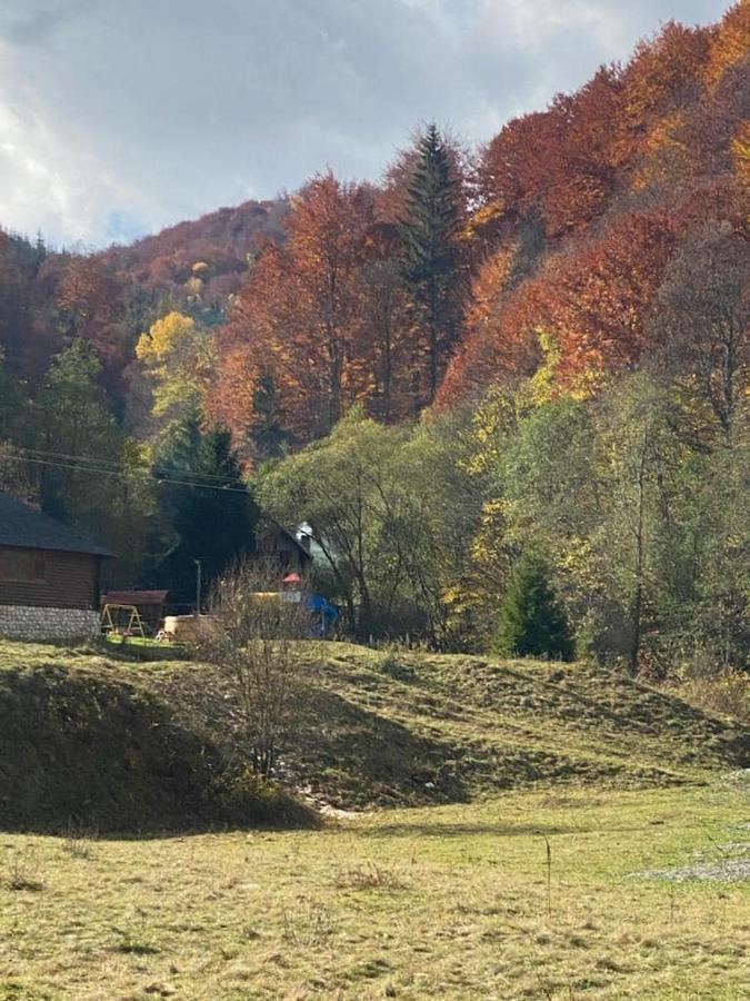 Casa De Vacanta Satic Piatra Craiului La Doi Viermi Esterno foto