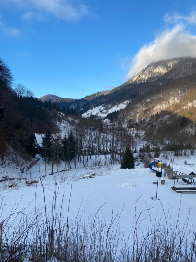 Casa De Vacanta Satic Piatra Craiului La Doi Viermi Esterno foto