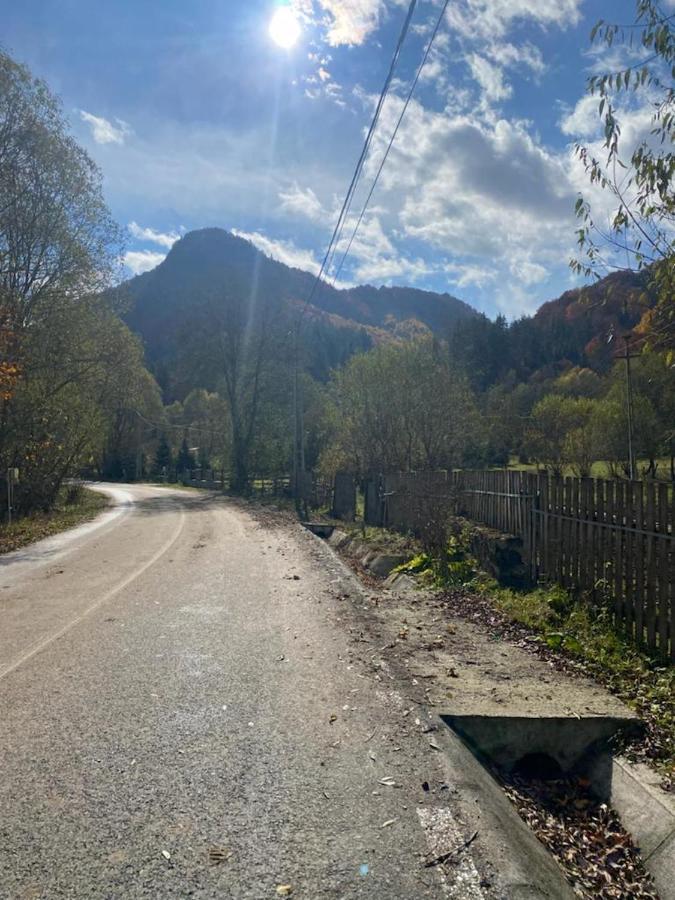 Casa De Vacanta Satic Piatra Craiului La Doi Viermi Esterno foto