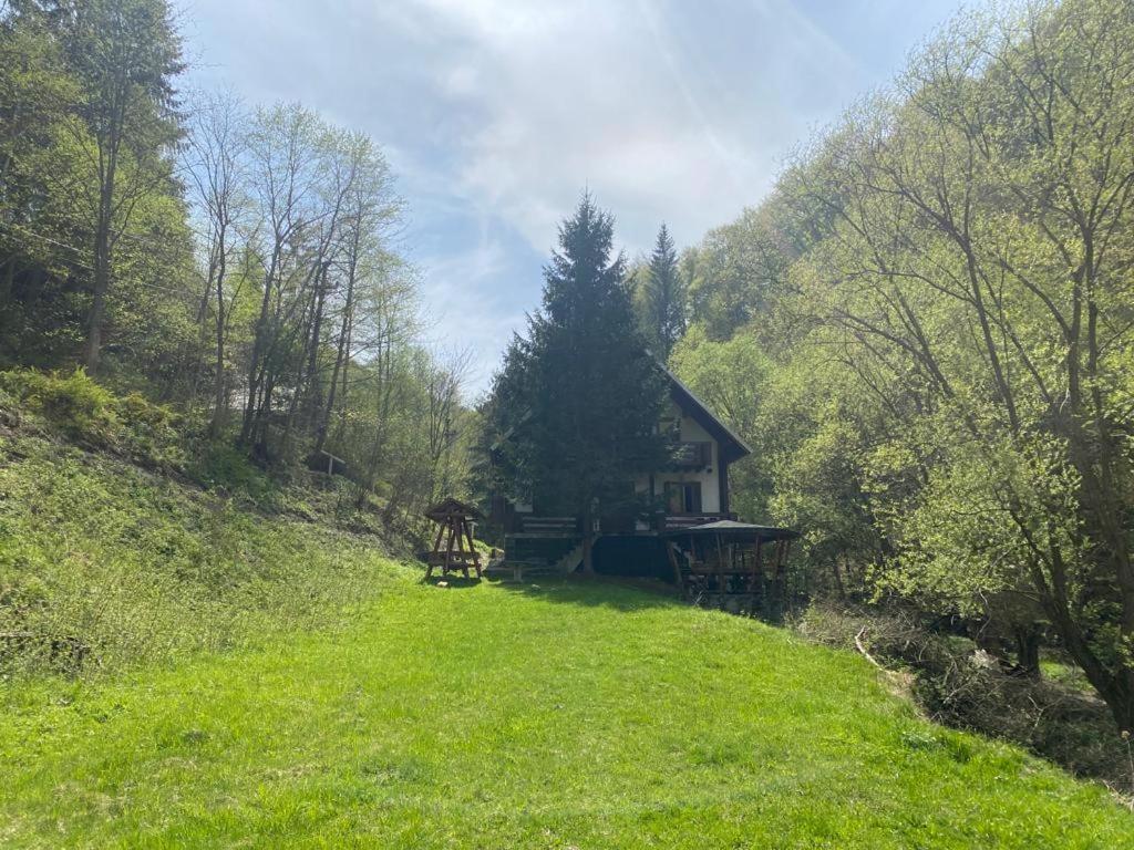 Casa De Vacanta Satic Piatra Craiului La Doi Viermi Esterno foto