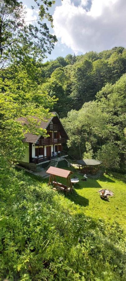 Casa De Vacanta Satic Piatra Craiului La Doi Viermi Esterno foto