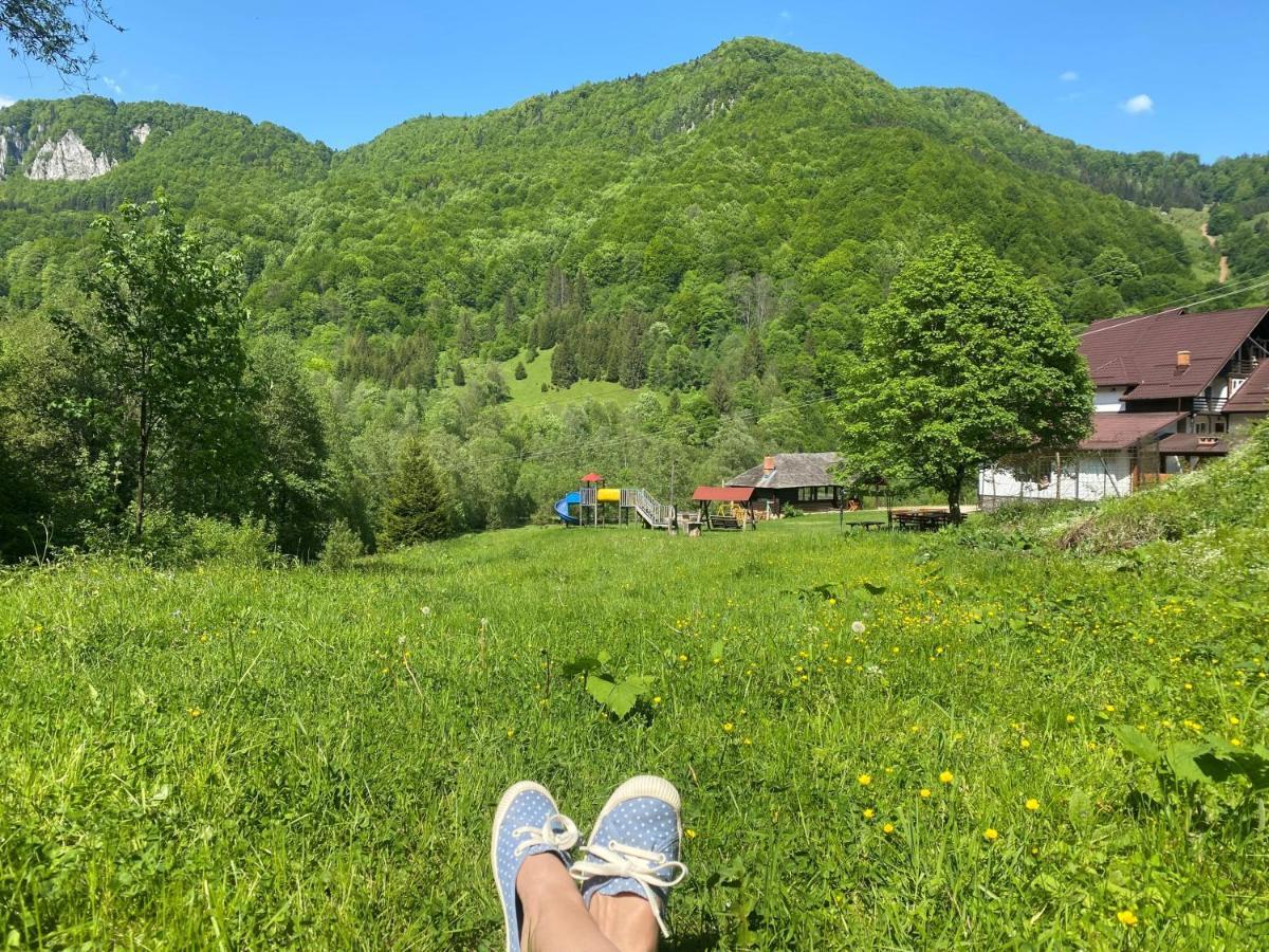 Casa De Vacanta Satic Piatra Craiului La Doi Viermi Esterno foto