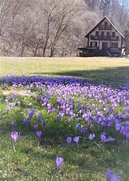 Casa De Vacanta Satic Piatra Craiului La Doi Viermi Esterno foto